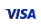 visa card